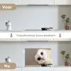 Uil - Bruin - Wit keuken achterwand spatscherm klein -voor_na_NL