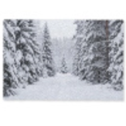 Bos - Winter - Sneeuw - Pad - Natuur Deurmat klein -zkaufland3d