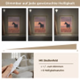 Paard - Wolken - Open veld Light Box met kabel (Tafellamp) klein -USP_dimbaarDE