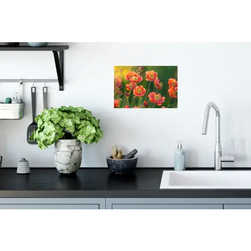Bloemenveld - Zonnestralen - Oranje Muursticker klein -keuken