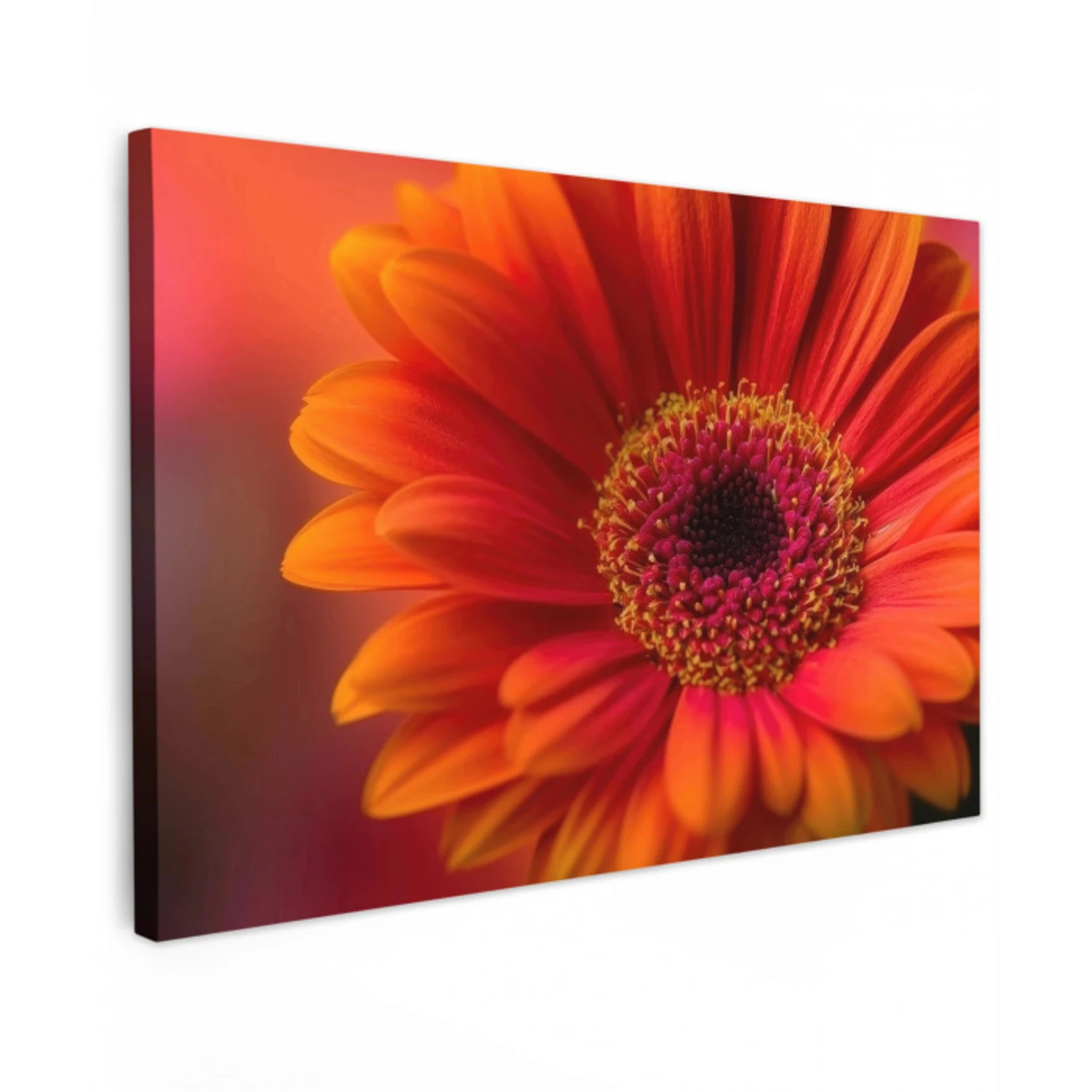 Oranje - Gerbera - Intens canvas 2cm klein -z3d