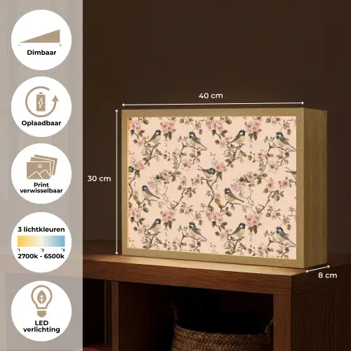 Bloesem - Koolmees - Roze Light Box met batterij (Wandlamp) middel 907 -USP_websiteoverzichtNL