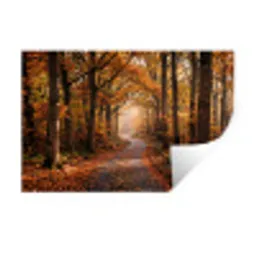Bospad - Herfstbos - Bladeren - Oranje - Nostalgisch Muursticker klein -3d