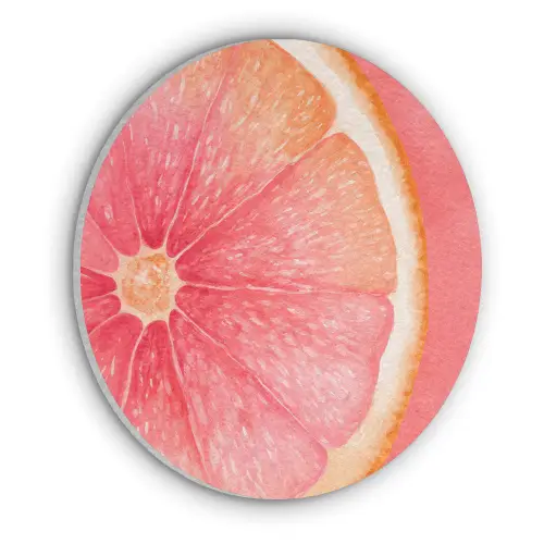 Grapefruit - Roze - Levendig Akoestische PET Vilt - Rond klein -3d
