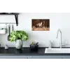 Paard - Bruin - Gras Muursticker klein -keuken