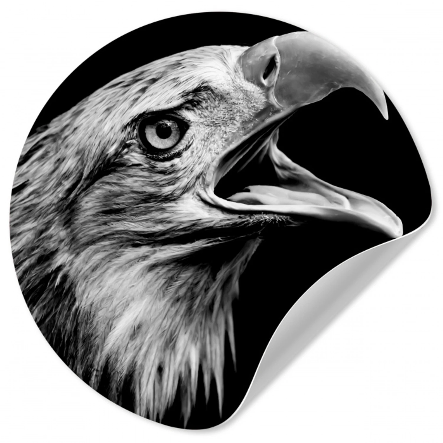 Adelaar - Portret - Roofvogels - Zwart - Wit - Vogel Wandcirkel behangsticker klein -3d