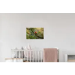 Ara - Jungle - Rood Muursticker klein -kinderkamer