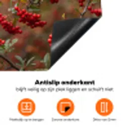 Goudvink - Bessen - Herfst - Natuur - Kleurrijk Inductie beschermer vinyl 3mm klein -zzzzzzz-td-onderkant
