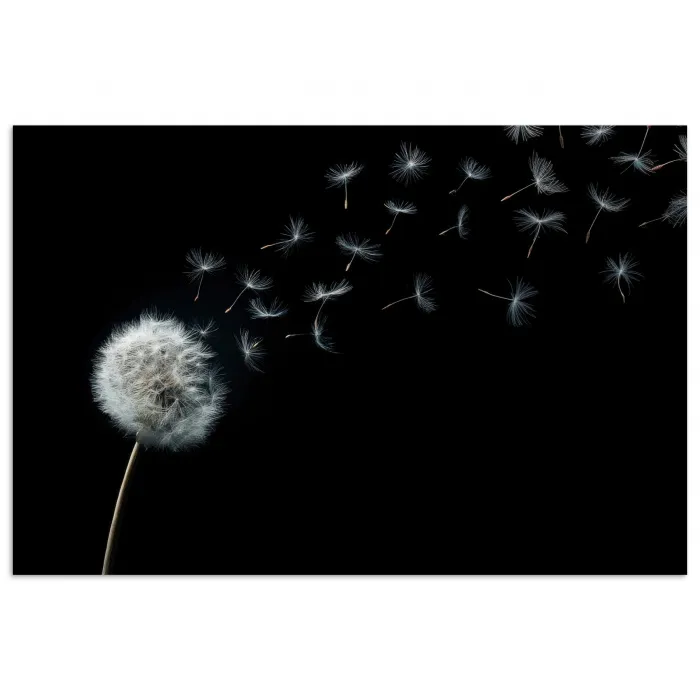 Paardenbloem - Zwart - Natuur poster papier klein -3d