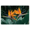 Paradijsvogel - Bloem - Exotisch Placemat vinyl groot -zzsfeer1_Kitchenyeah-website
