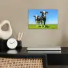 Koeien - Weiland - Gras - Dieren - Boerderij poster papier klein -sfeer1