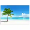 Palmboom - Strand - Zee - Zomer poster papier klein -3d