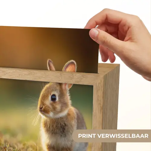 Konijntje - Bruin - Gras Light Box met kabel (Kinderlampje) klein -USP_websiteprintNL