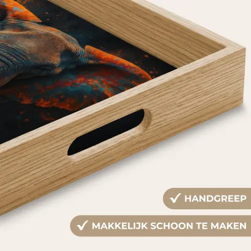 Olifant - Oranje - Oren Dienblad Rechthoek middel -USP_HandgreepNL