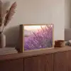 Lavendel - Paars - Zonlicht Light Box met batterij (Wandlamp) middel -sfeer2