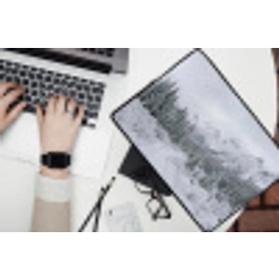 Weg - Bergen - Sneeuw - Naaldbos - Avontuurlijk laptophoes neopreen klein -bureau