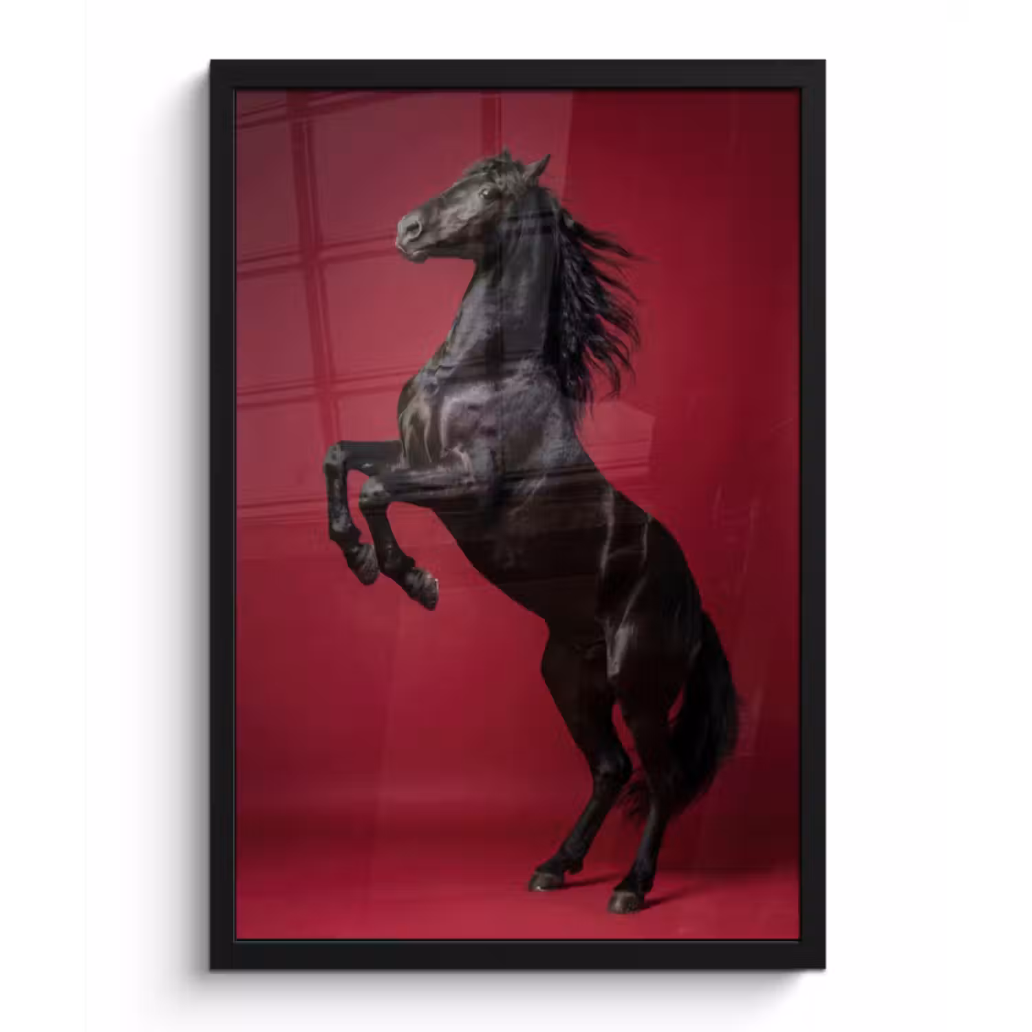Poster met lijst - Hengst - Steigert - Rood