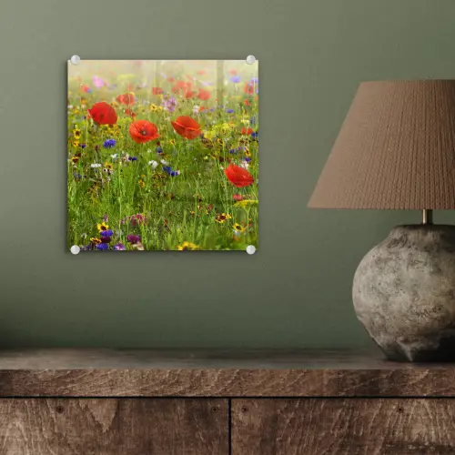 Lente - Bloemen - Rood - Klaproos - Gras - Groen plexiglas 5mm klein -sfeer3