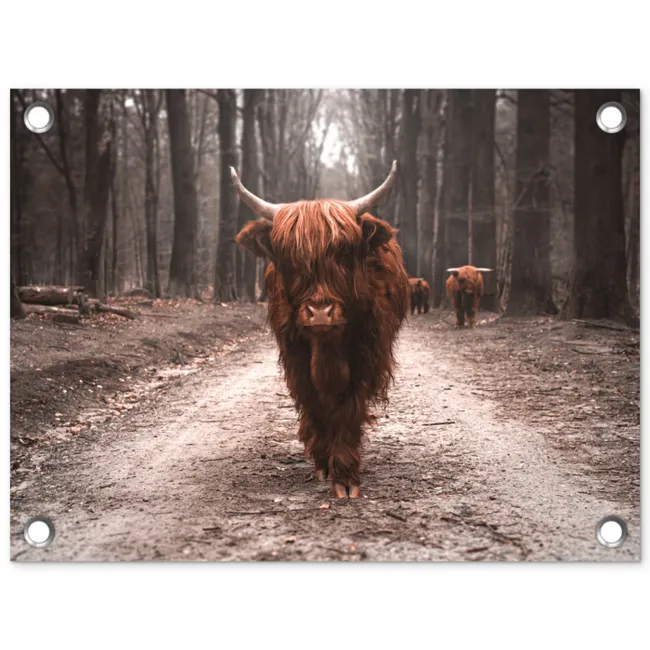 Hooglander in het Bos tuinposter los doek klein -3d