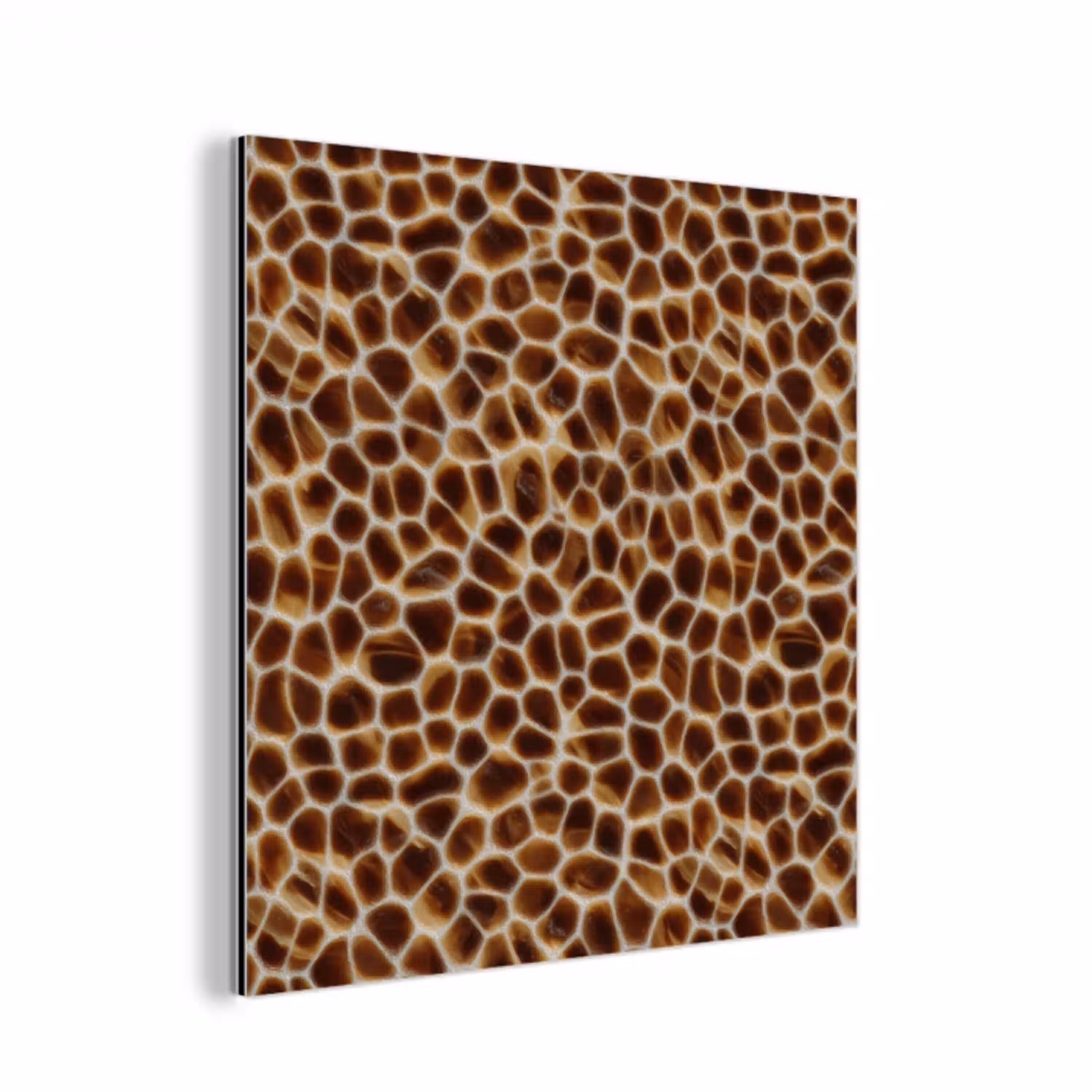 Schildpad - Bruin - Patroon aluminium wit klein 46 -3d
