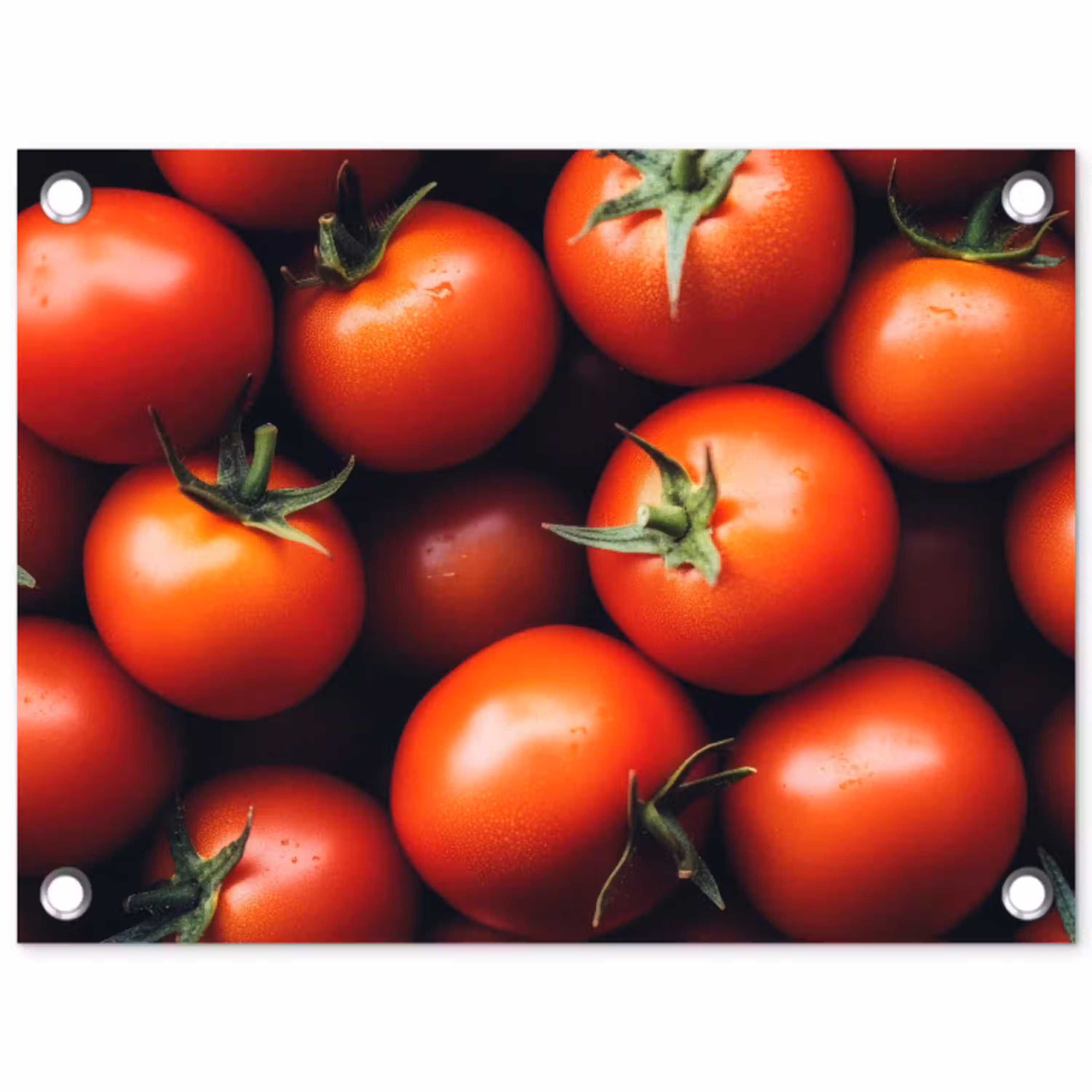 Groente - Rood - Tomaten tuinposter los doek klein -3d