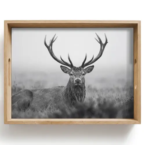 Hert - Mistig - Zwart - Wit Dienblad Rechthoek middel -z3d_shopping