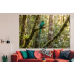 Quetzal - Jungle - Natuur - Groen forex 5mm xxl -woonkamer