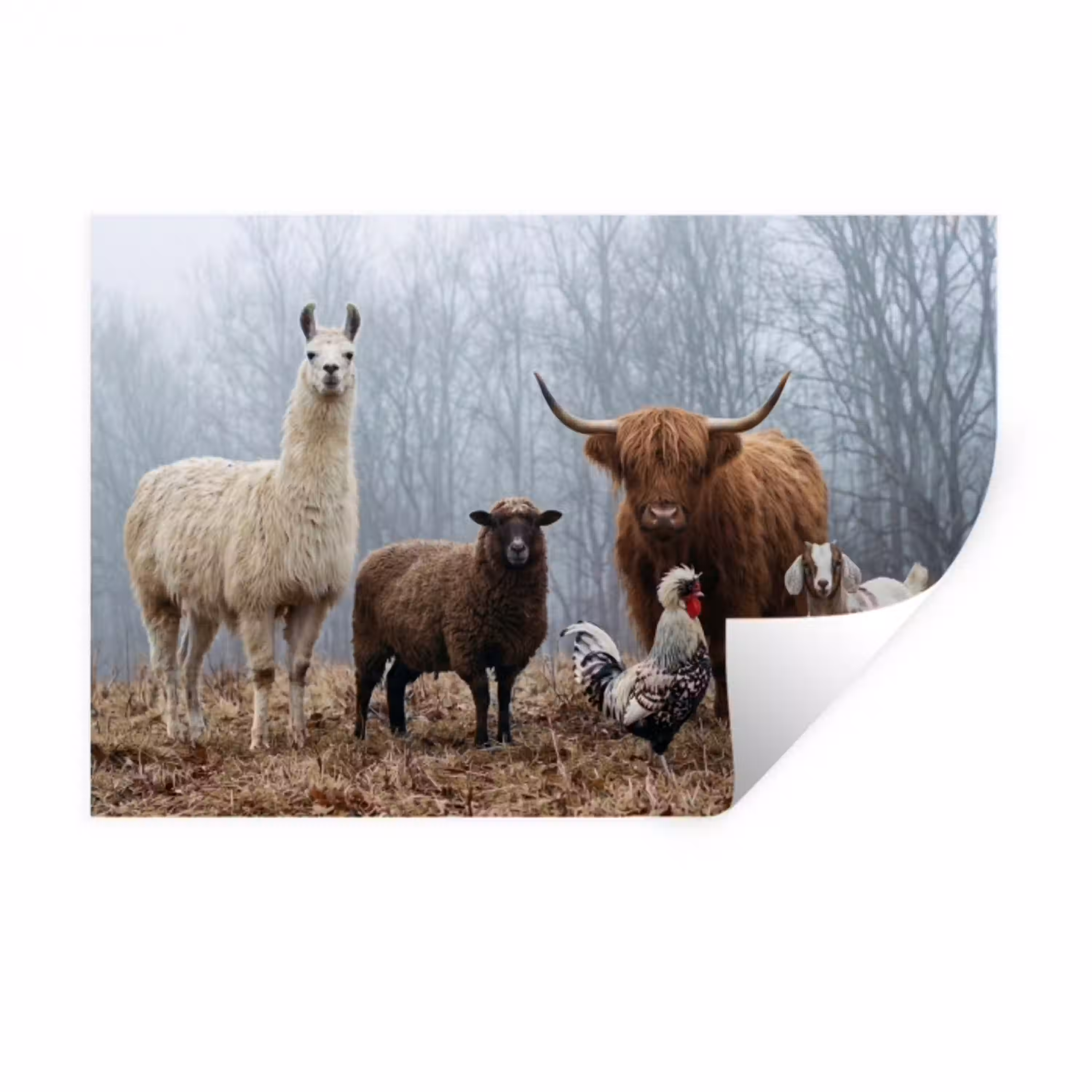 Boerderijdieren - Groep - Mist - Natuur - Rustiek Muursticker klein -3d