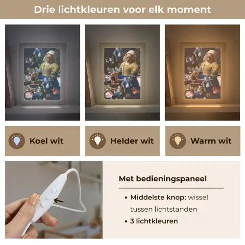 Melkmeisje - Johannes Vermeer - Bloemen Light Box met kabel (Wandlamp) klein -USP_lichtkleurNL