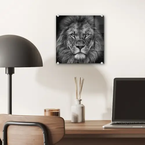 Dieren - Leeuw - Zwart - Wit - Portret plexiglas 5mm klein -sfeer6