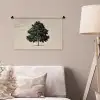 Eikenboom - Schaduw - Egaal Wandkleed katoen klein -sfeer4