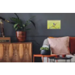 Vogel - Tak - Natuur - Kleurrijk Muursticker klein -kamerbank