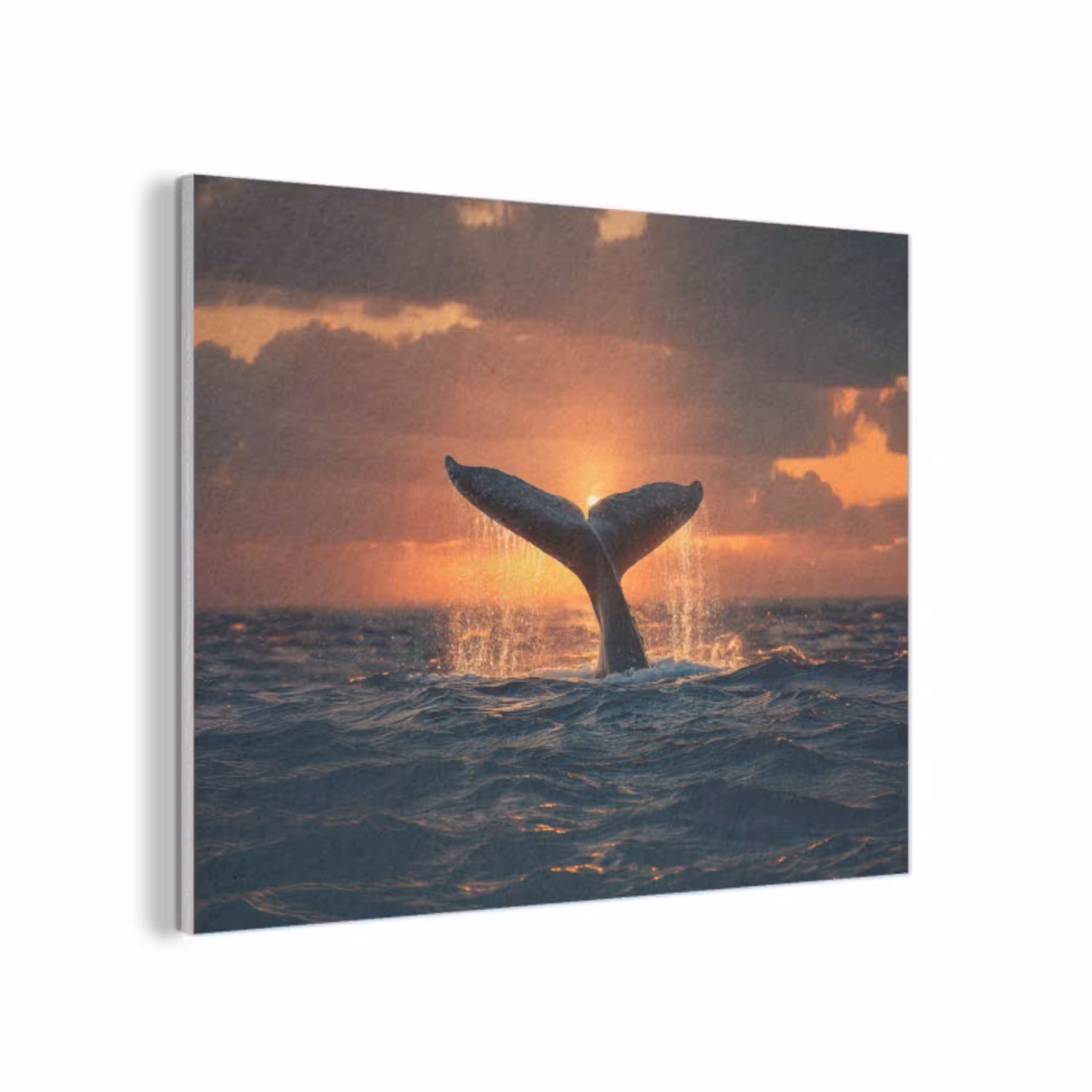 Walvis staart - Water - Zonsondergang PET vilt klein -3d