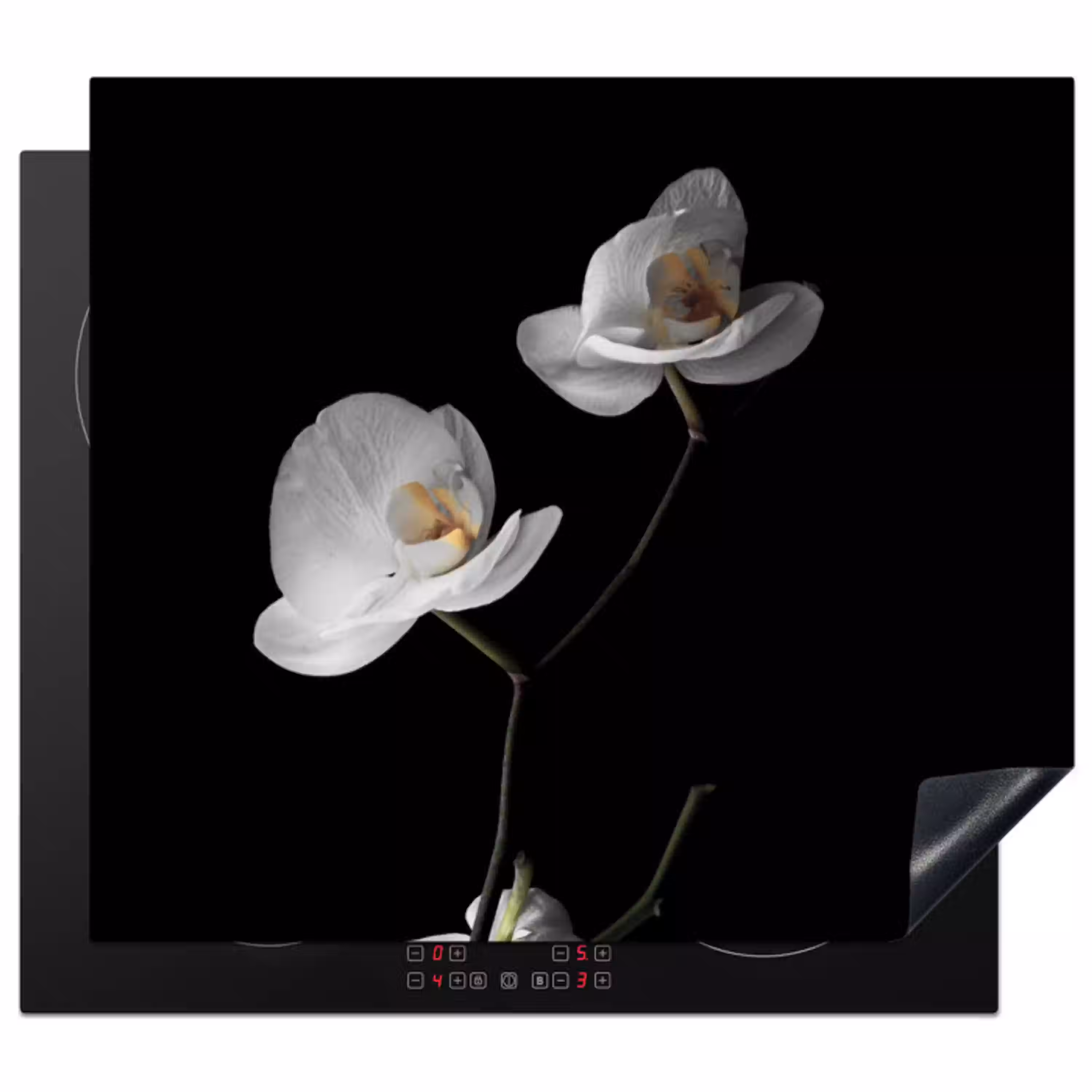 Nachtelijke Orchidee Elegance Inductie beschermer vinyl 3mm middel -3d