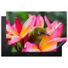 Tropische vogel tussen roze bloem Inductie beschermer vinyl 3mm klein -3d