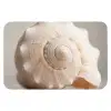 Schelp - Detail - Beige WCmat klein -3d