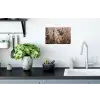Kimono - Vrouw - kersenbomen Muursticker klein -keuken