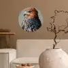 Vogel - Realistisch - Veren - Bruin Wandcirkel behangsticker klein -sfeer1