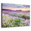 Lavendel - Bloemen - Zonsondergang - Paars - Weide Textielframe zwart klein -3d
