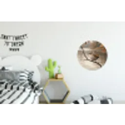 Winterkoninkje - Tak - Rivier - Natuur - Sfeervol Wandcirkel aluminium klein -kinderkamer