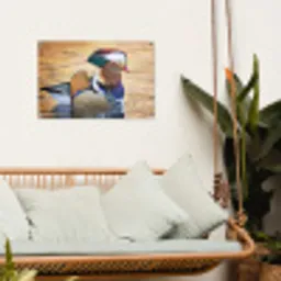 Close-up mandarijneend tuinposter los doek klein -sfeer7