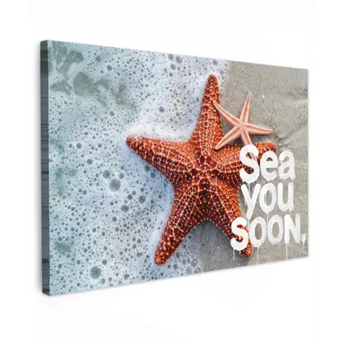 Sea you soon - Zeester - Zee Tuinposter op houten frame 2 cm dik klein -3d