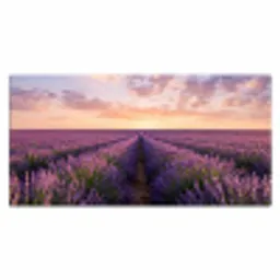 Landschap - Lavendelveld - Paars Muismat XXL klein -3d_leeg