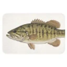 Vissen - Natuur - Vintage Badmat klein -3d