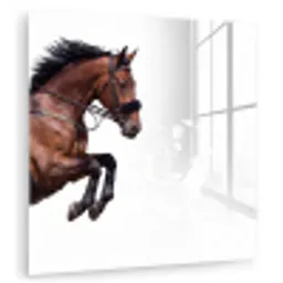 Paard - Springen - Modern plexiglas 5mm klein -zzzproduct_nieuw