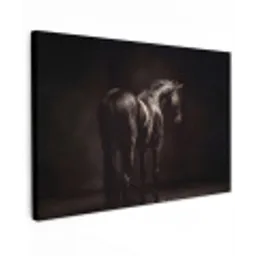 Krachtig - Paard - Donker Tuinposter op houten frame 2 cm dik klein -3d