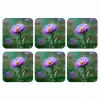 Aster - Paars - Bloem - Blaadjes onderzetter kurk middel -3d