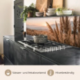 Gras - Veld - Zon - Natuur keuken achterwand 2 middel -usp_DE