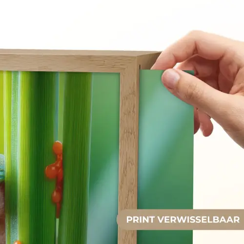 Groene kikker - Nieuwsgierig - Gras Light Box met batterij (Wandlamp) middel -USP_websiteprintNL