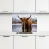 Schotse hooglander - Bruin - Water keuken achterwand 2 middel -3d